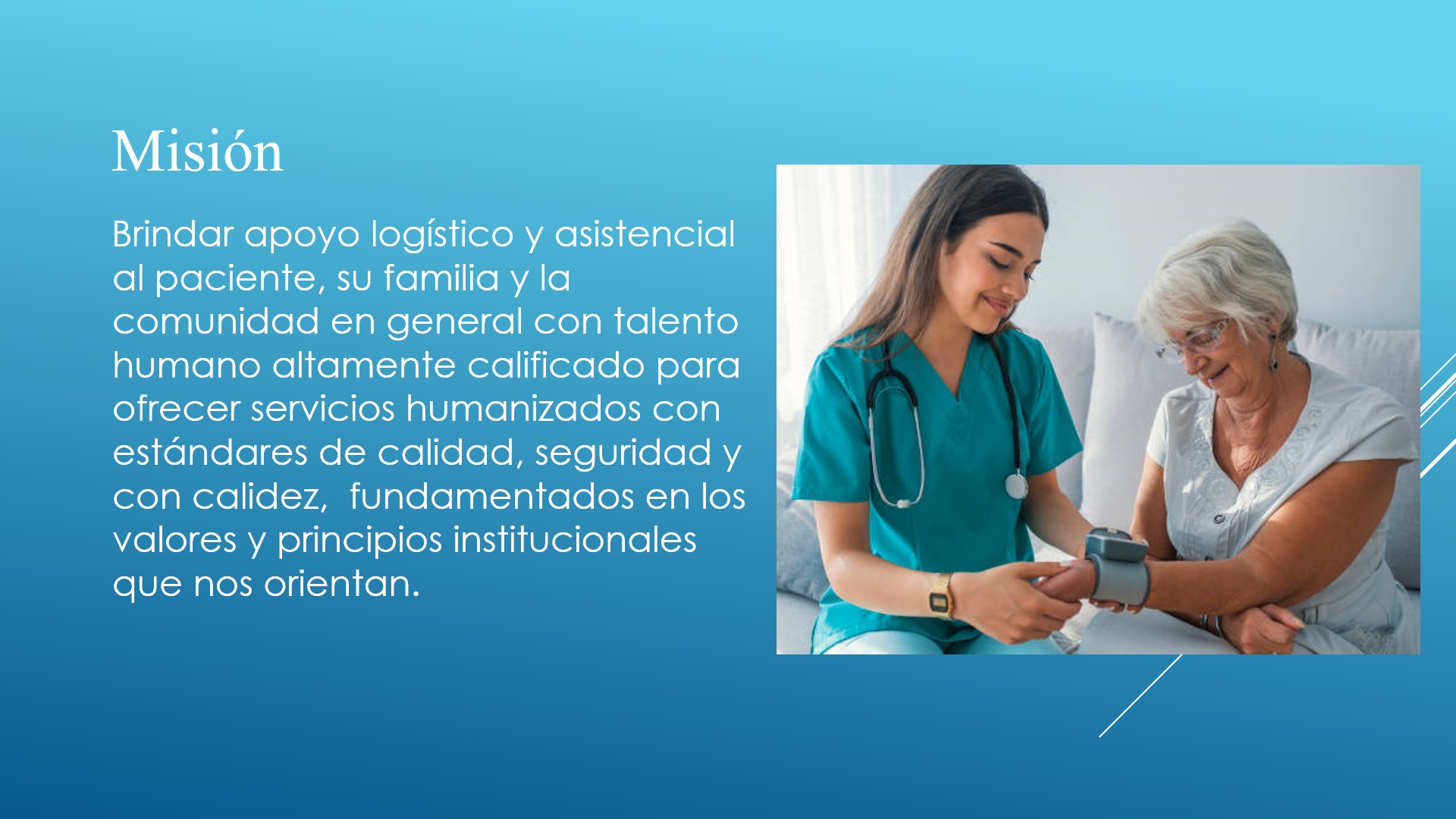 Misión Empresarial